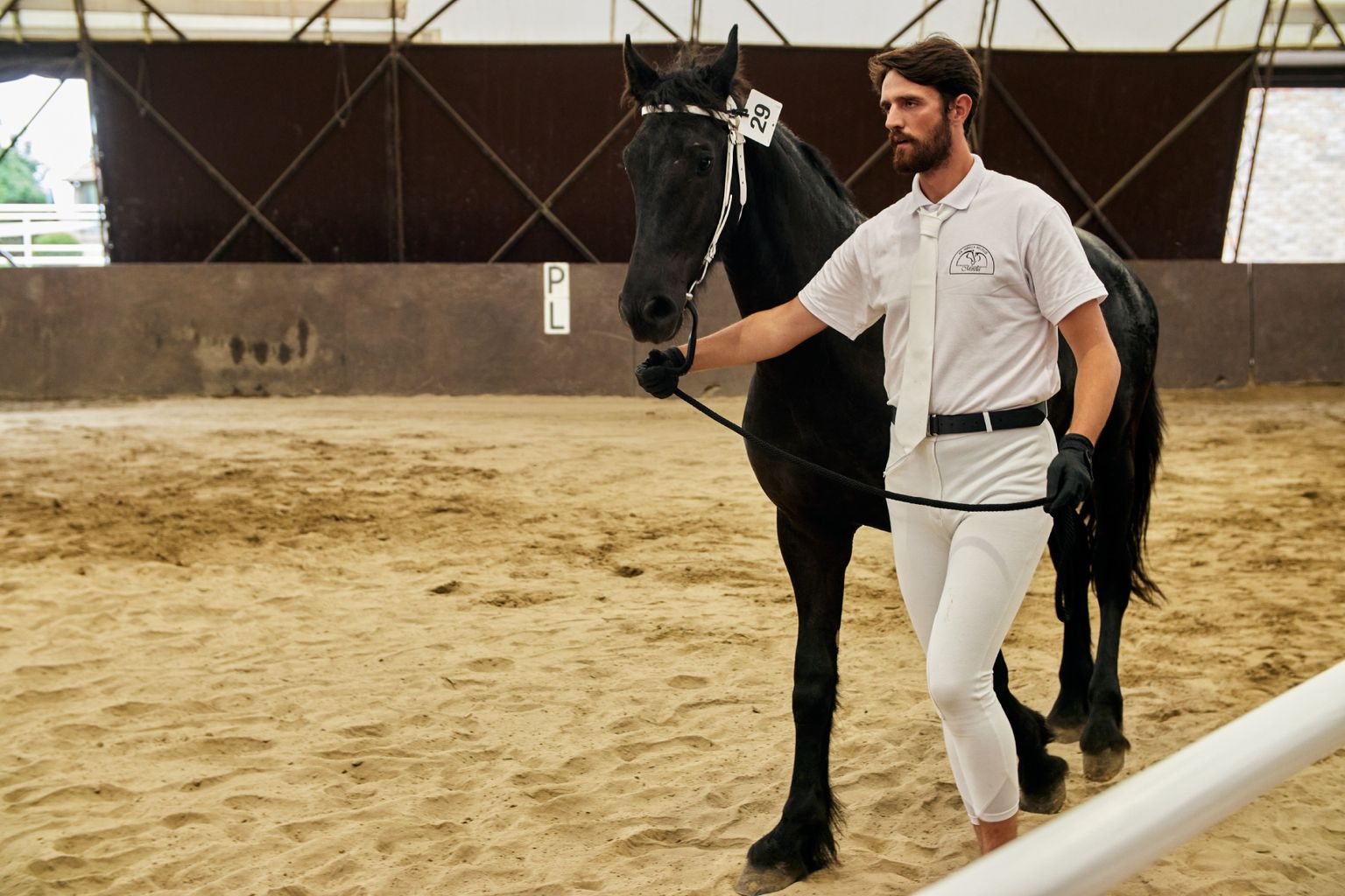 KFPS ROYAL FRIESIAN