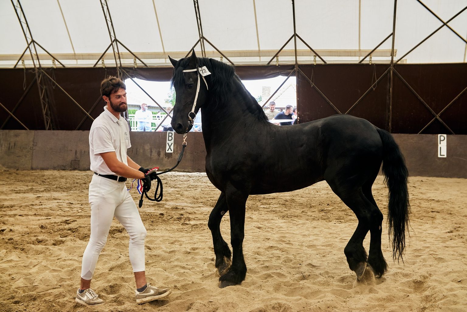 KFPS ROYAL FRIESIAN