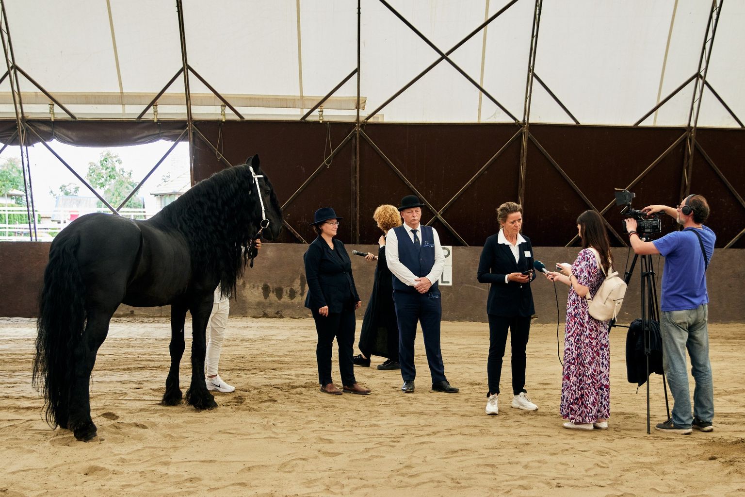KFPS ROYAL FRIESIAN